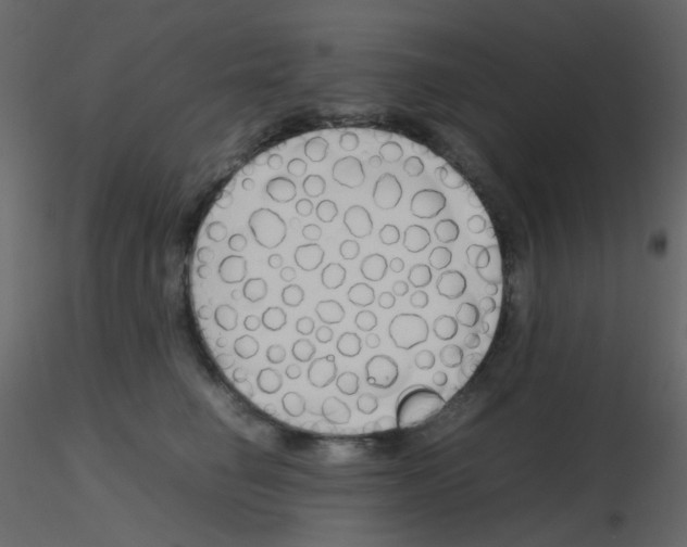 X0000115760662200912241730