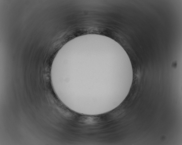 X0000115760663200912241730