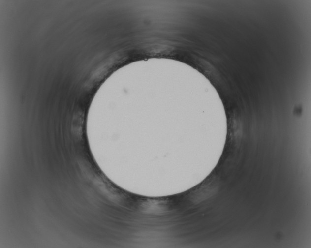 X0000115760664200912241730