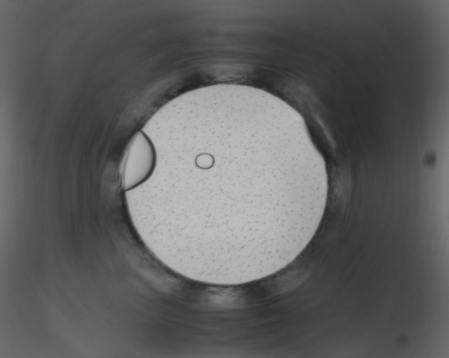 X0000115760667200912241730