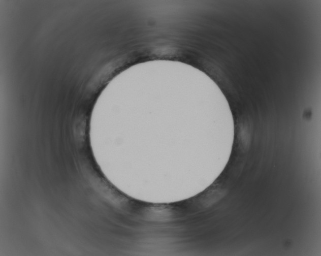 X0000115760668200912241730