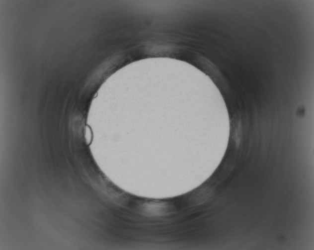 X0000115760669200912241730