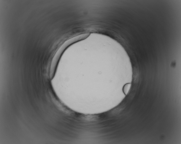 X0000115760670200912241730