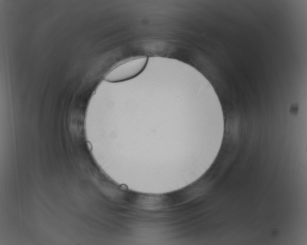 X0000115760671200912241730