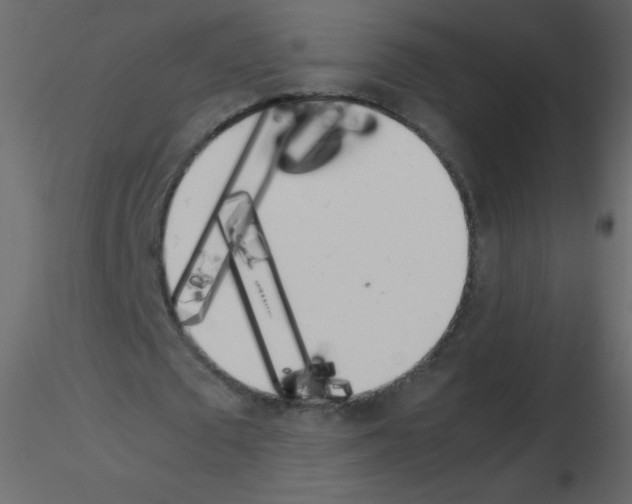 X0000115760673200912241729