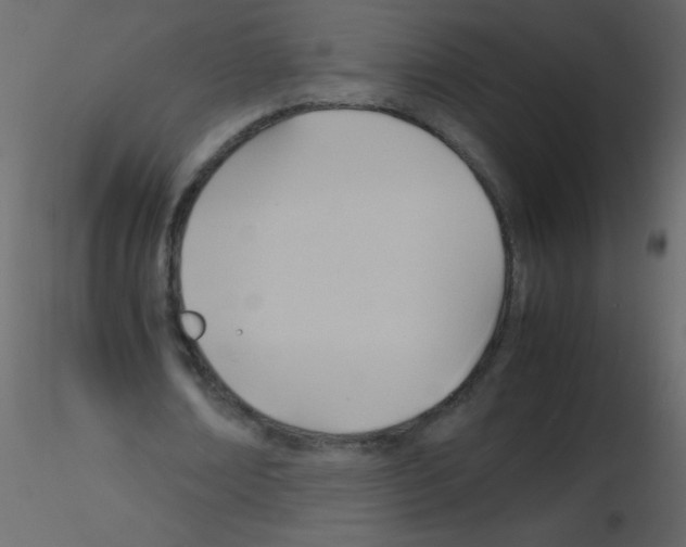 X0000115760674200912241729