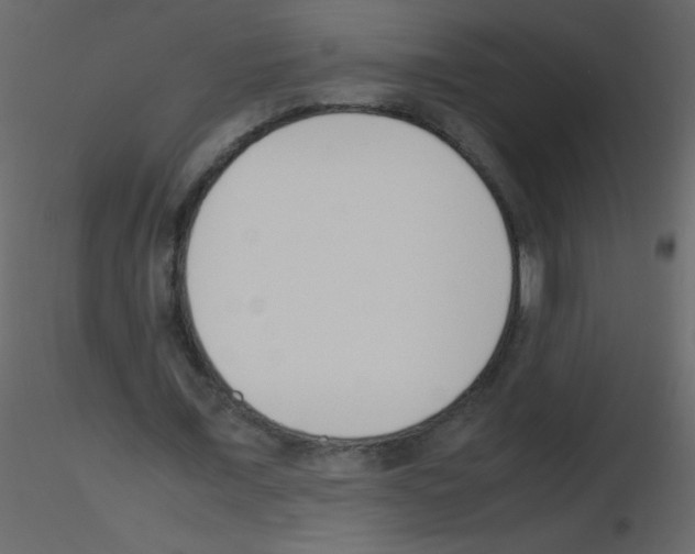 X0000115760675200912241729