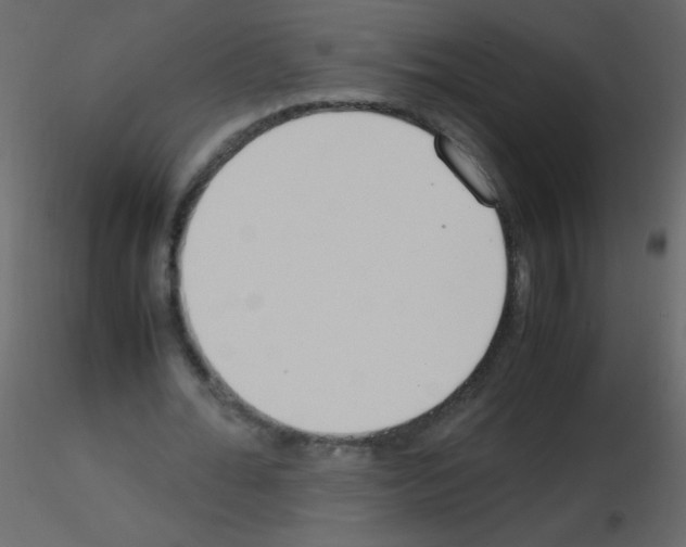 X0000115760676200912241729