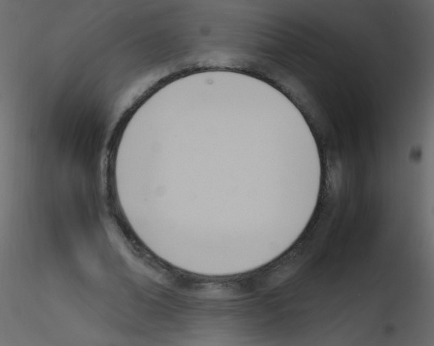 X0000115760678200912241729
