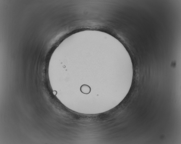 X0000115760679200912241729