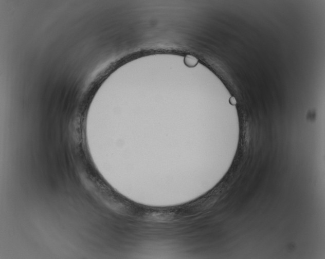 X0000115760680200912241729