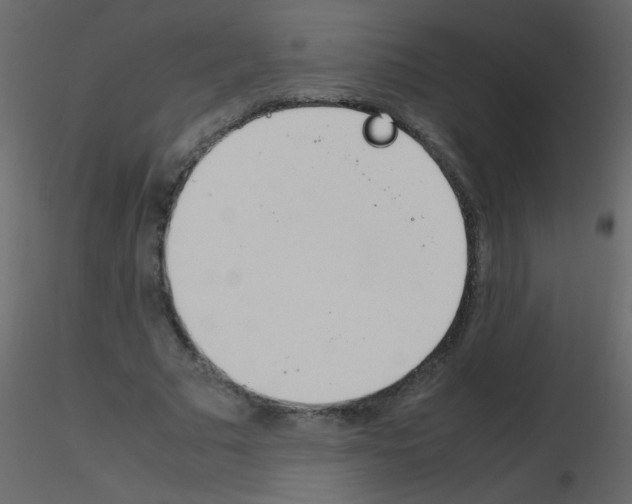 X0000115760681200912241729