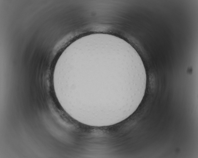 X0000115760682200912241729