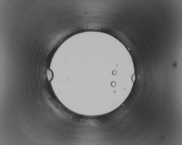 X0000115760683200912241729
