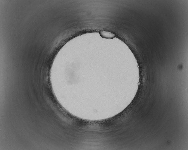 X0000115760685200912241729