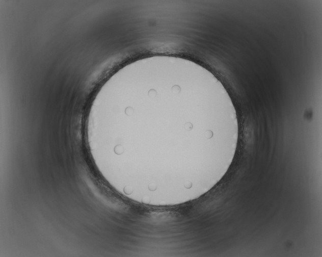 X0000115760686200912241729