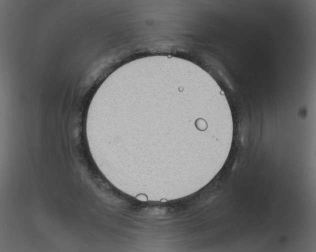 X0000115760687200912241729