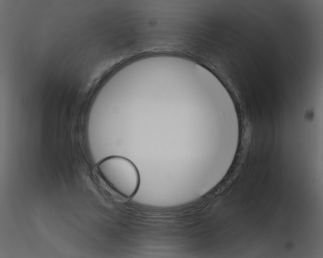 X0000115760688200912241729