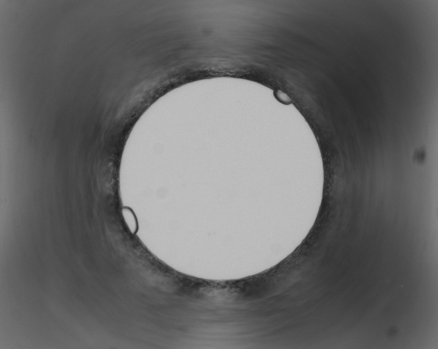 X0000115760689200912241729