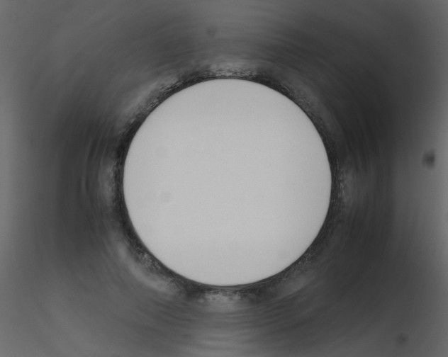 X0000115760690200912241729