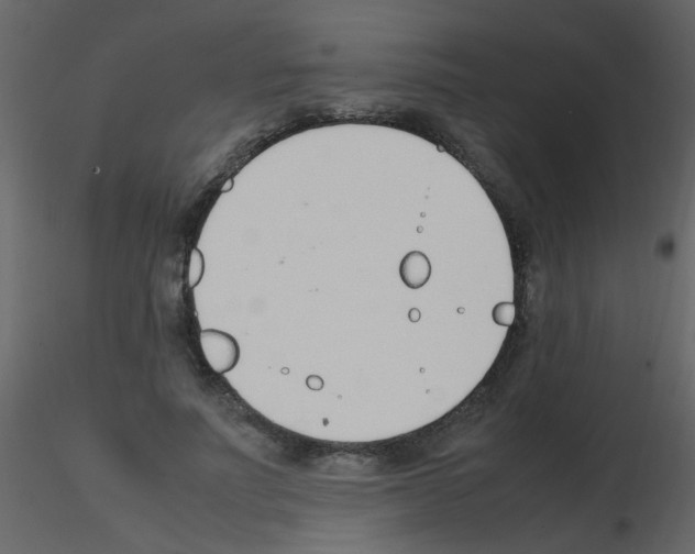 X0000115760691200912241729