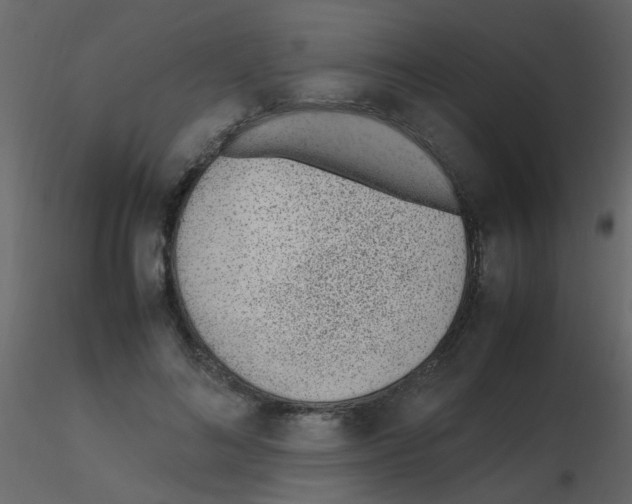 X0000115760692200912241729