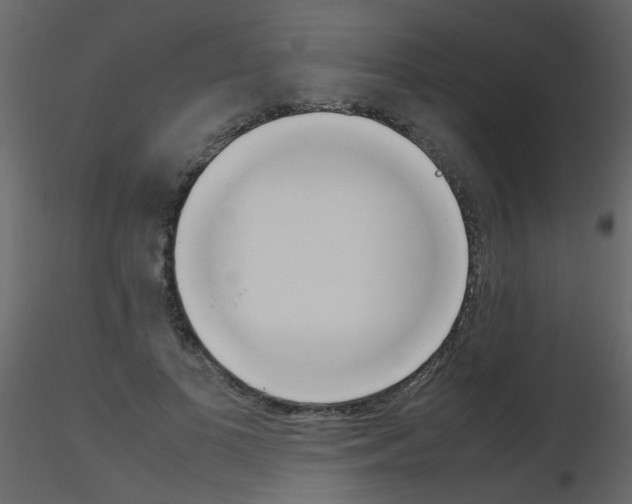 X0000115760693200912241729