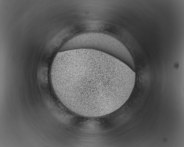 X0000115760696200912241729