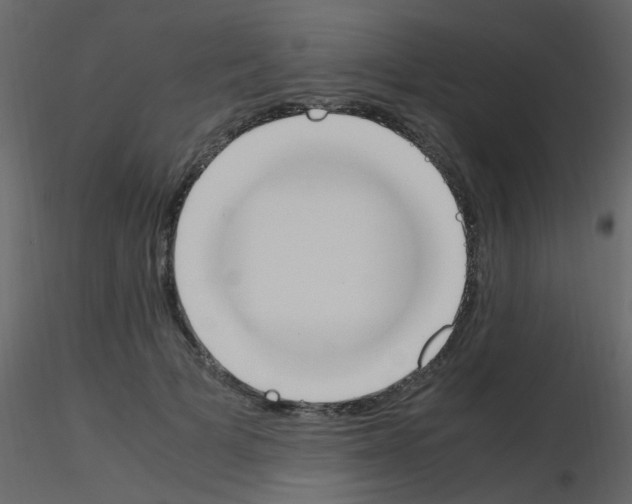 X0000115760697200912241729