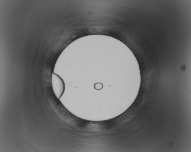 X0000115760699200912241729