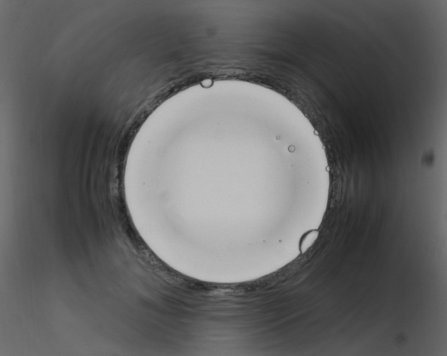 X0000115760700200912241729