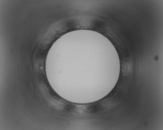X0000115760701200912241729