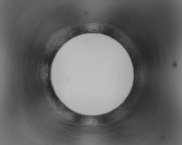 X0000115760702200912241729