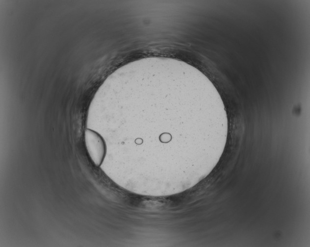 X0000115760703200912241729