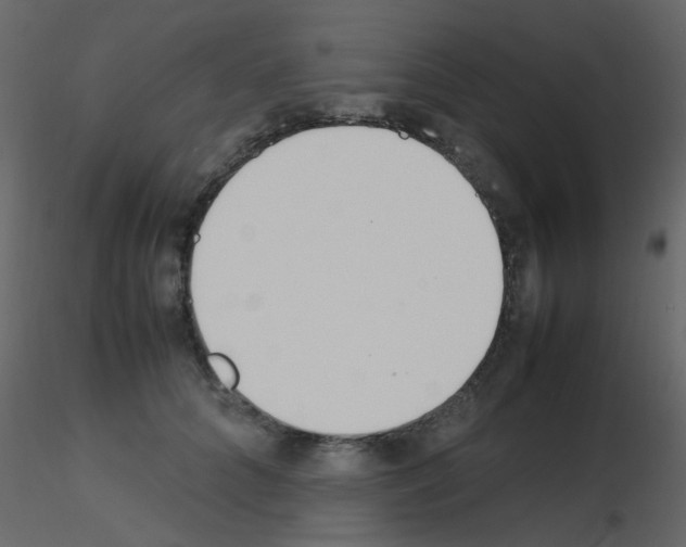 X0000115760704200912241729