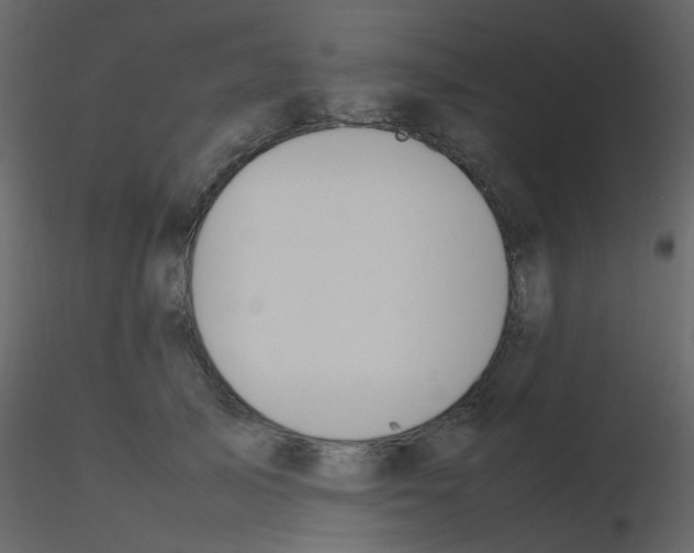 X0000115760705200912241729