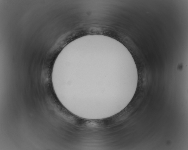 X0000115760706200912241729