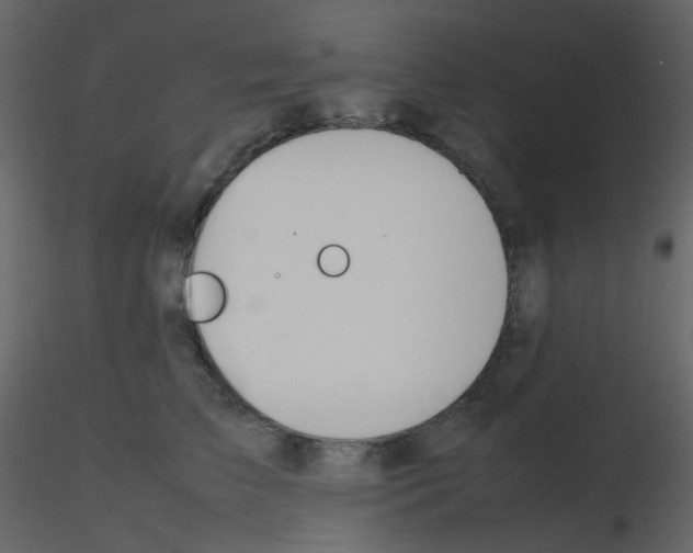 X0000115760709200912241729