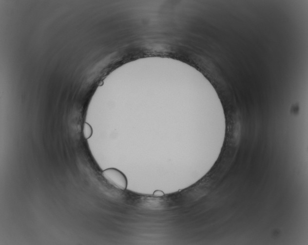 X0000115760710200912241729