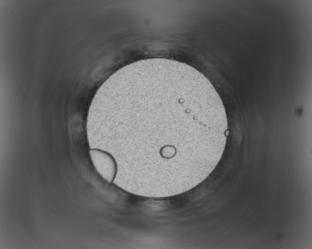 X0000115760711200912241729