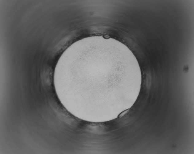 X0000115760712200912241729