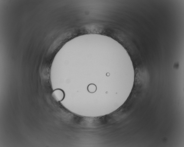 X0000115760713200912241729
