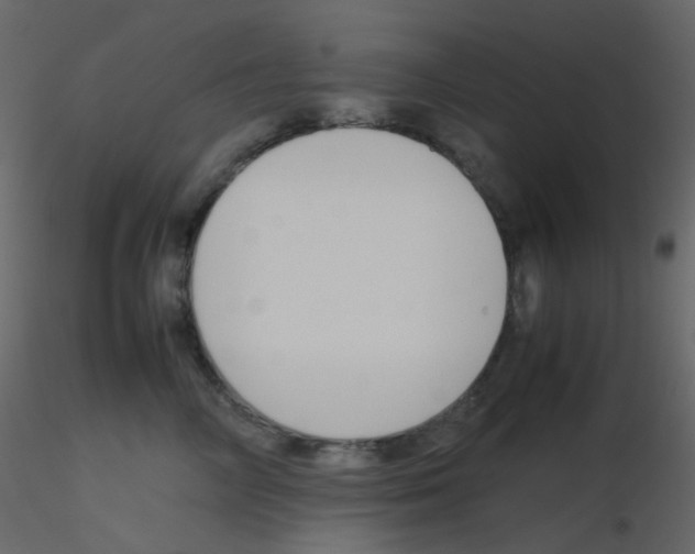 X0000115760714200912241729