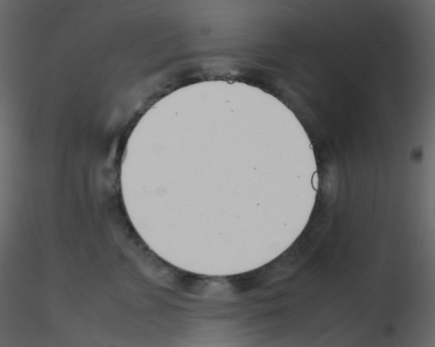 X0000115760715200912241729