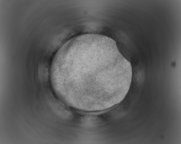 X0000115760716200912241729