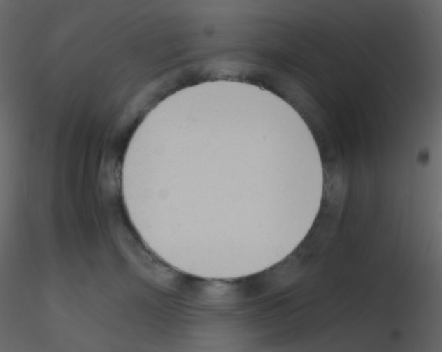 X0000115760718200912241729