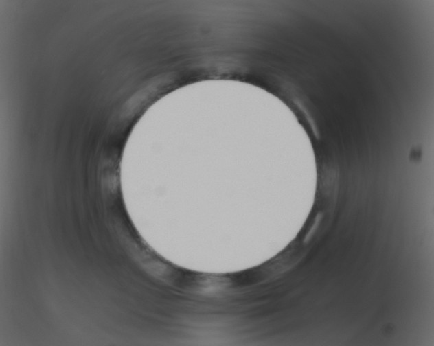 X0000115760719200912241729