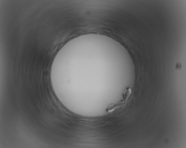 X0000115760720200912241729