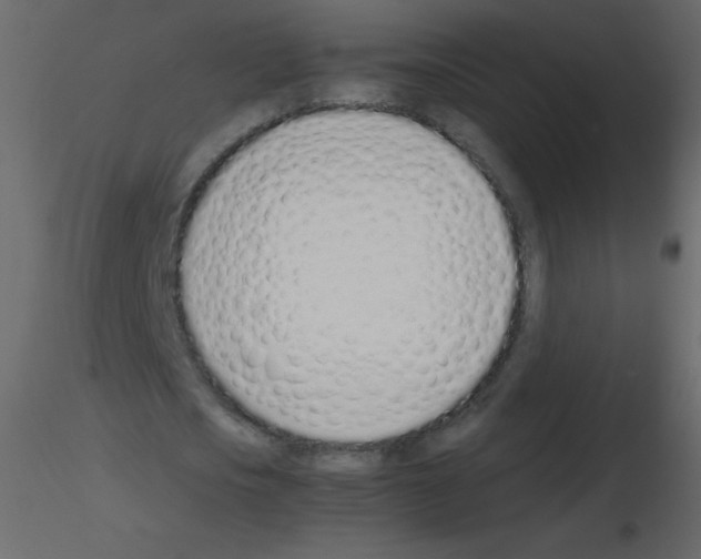 X0000115760721200912241728