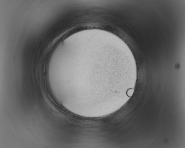 X0000115760722200912241728
